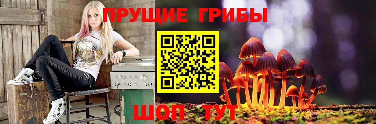 Псилоцибиновые грибы Magic Shrooms Углич