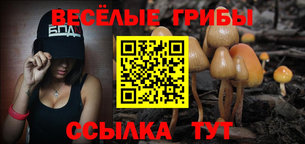 Галлюциногенные грибы Cubensis  Псилоцибиновые грибы Magic Shrooms  Вход с VPN  наркошоп  Углич 